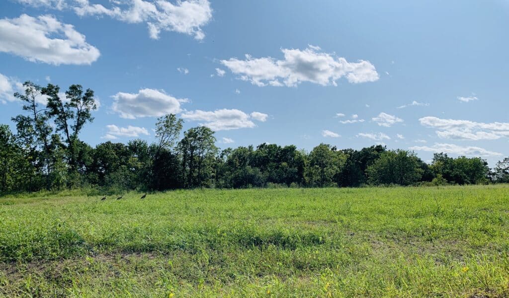 Whitetail Ridge | Community | BEAR Homes | Paddock Lake, WI