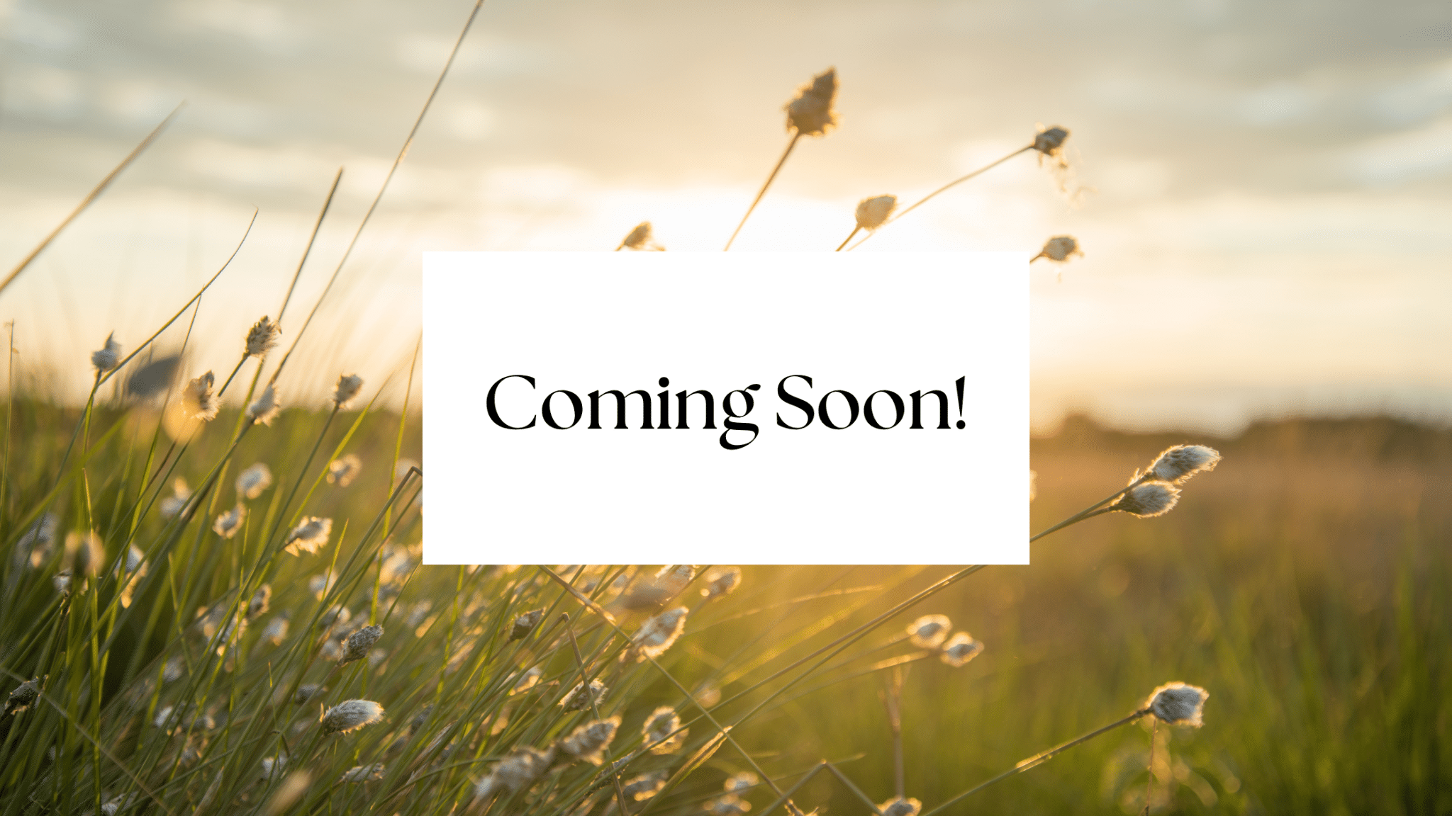 River Glen Burlington Subdivision Coming Soon